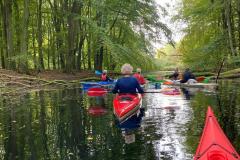 Amsterdamse-Bos2