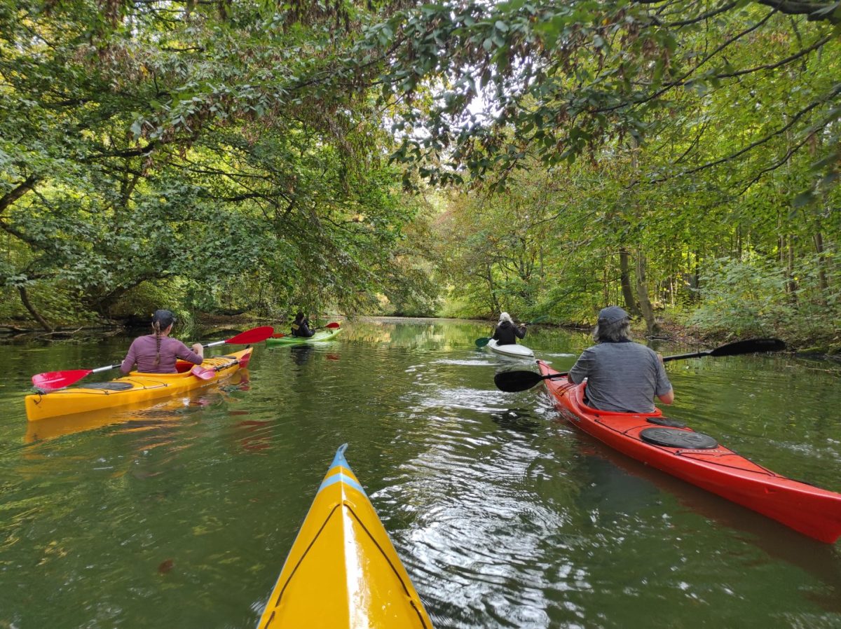 Foto’s tocht Amsterdamse Bos